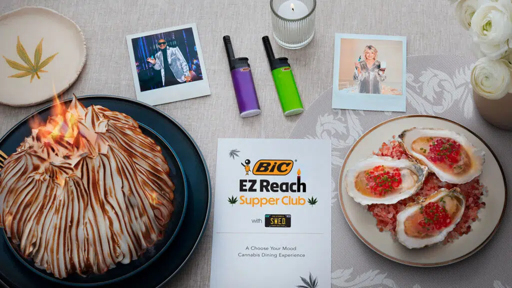 BIC EZ Reach case study